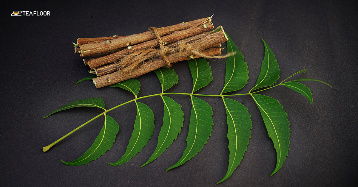 Ayurvedic Herbs of Neem Leaves
